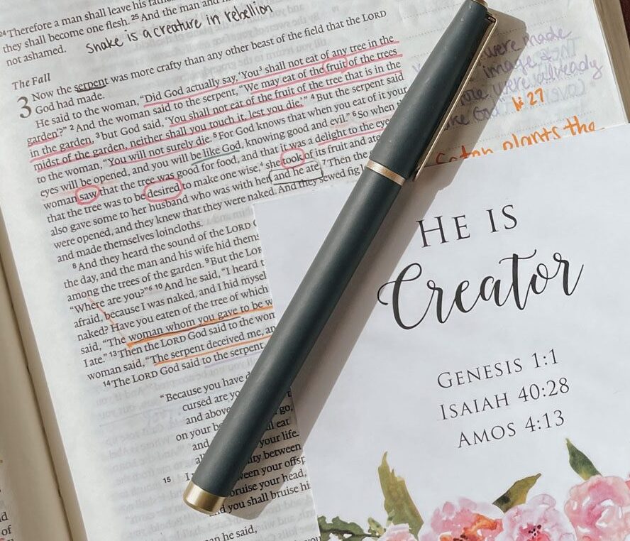 Covered & Unashamed: Finding Freedom in Christ