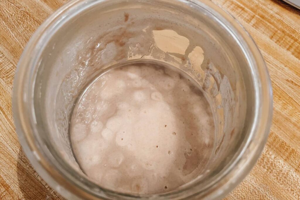 jar of sourdough starter with dark liquid hooch on top