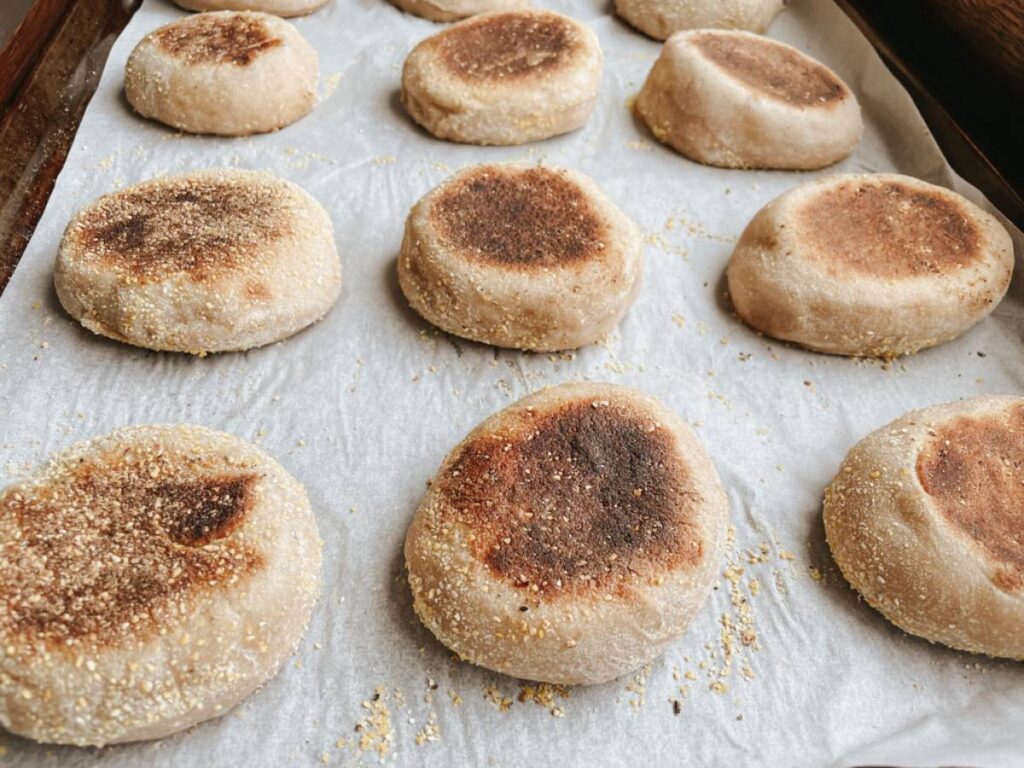 sourdough english muffins on a baking sheet